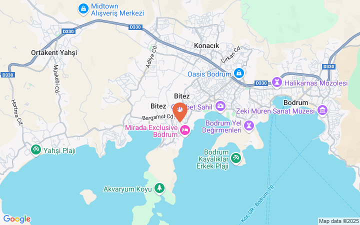 world_map