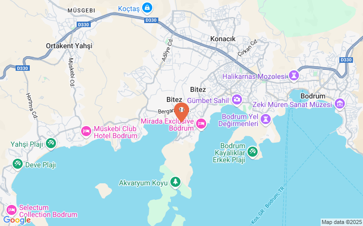 world_map