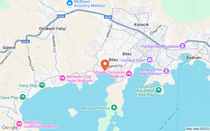 world_map