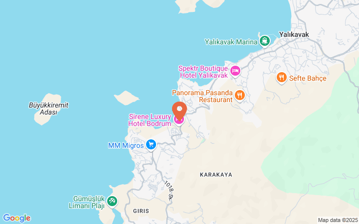 world_map