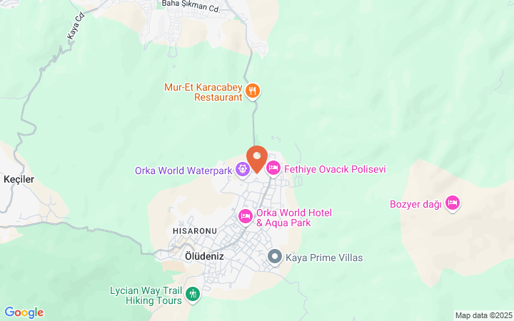 world_map