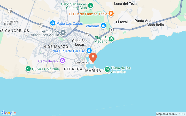 world_map