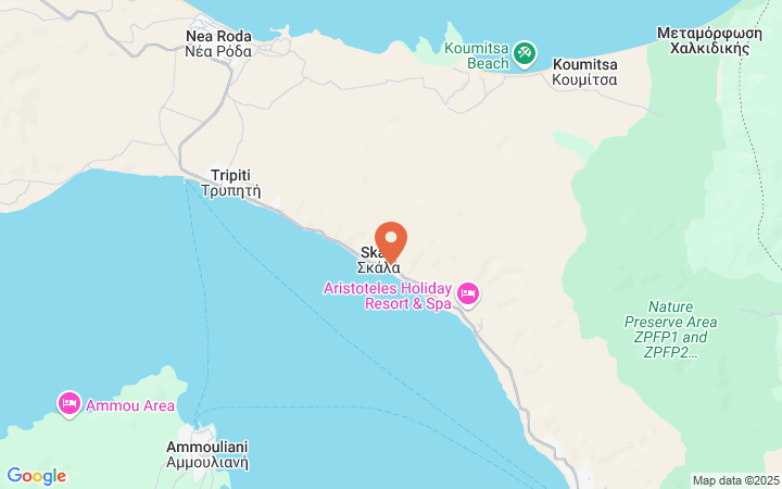 world_map